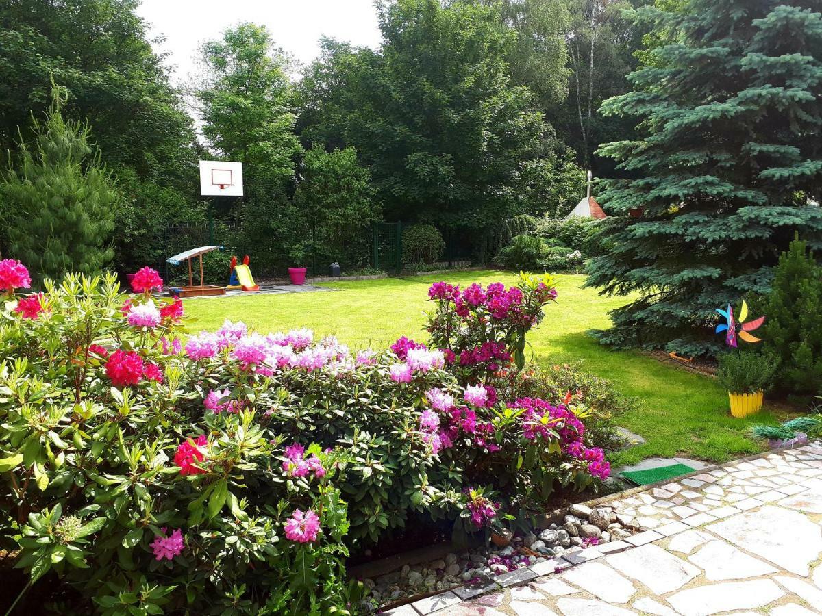 Villa-Seerose Köln Dış mekan fotoğraf