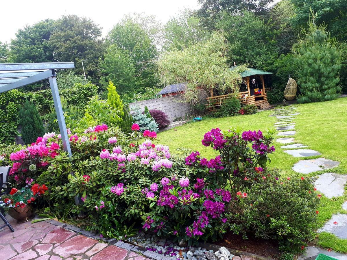 Villa-Seerose Köln Dış mekan fotoğraf